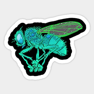 Fly'd Sticker